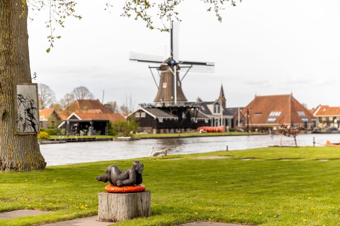 Foto 62 van Koetshúsleane 36