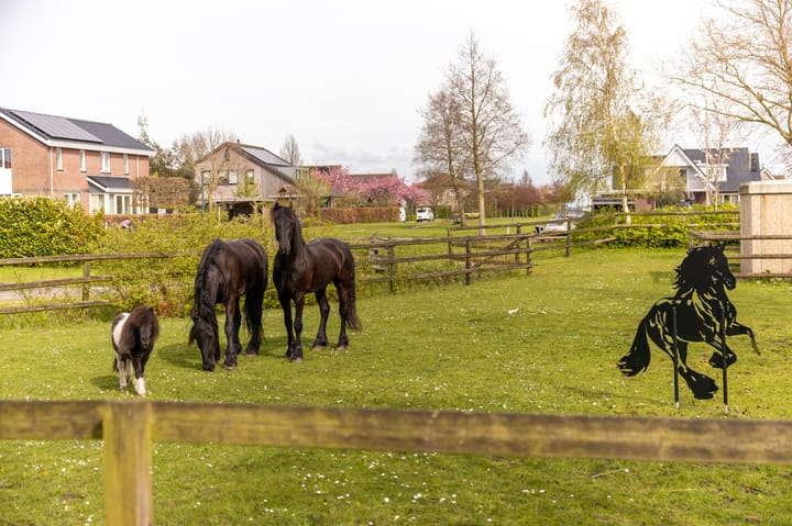 Foto 3 van Koetshúsleane 36