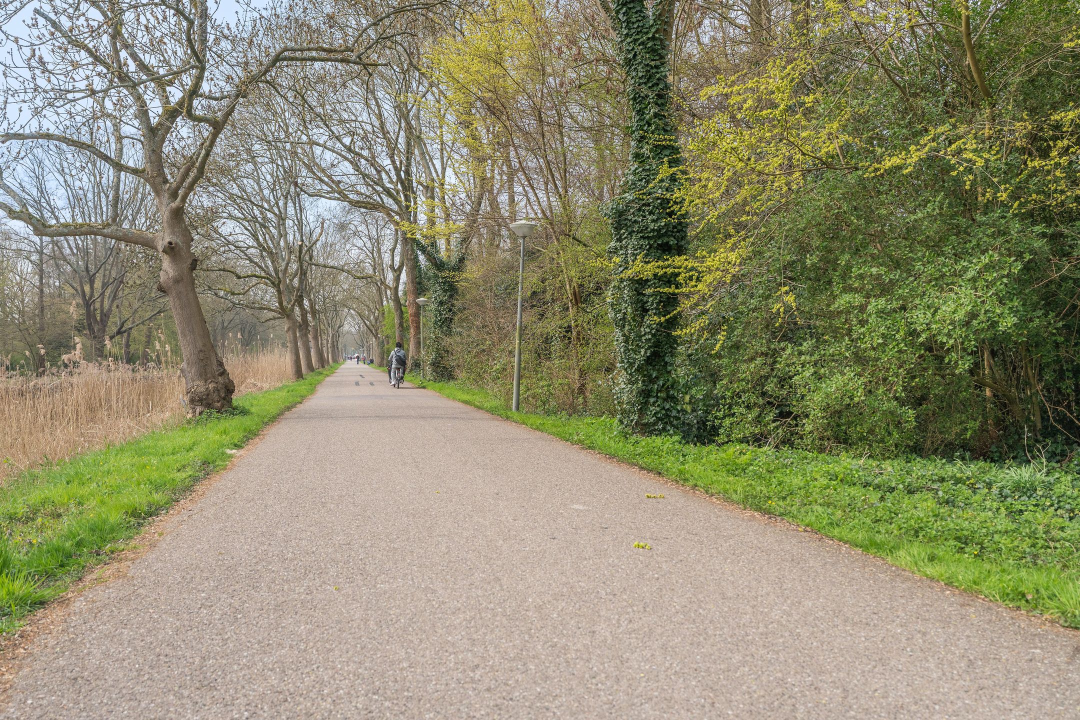 Foto 24 van Bos en Vaartlaan 71