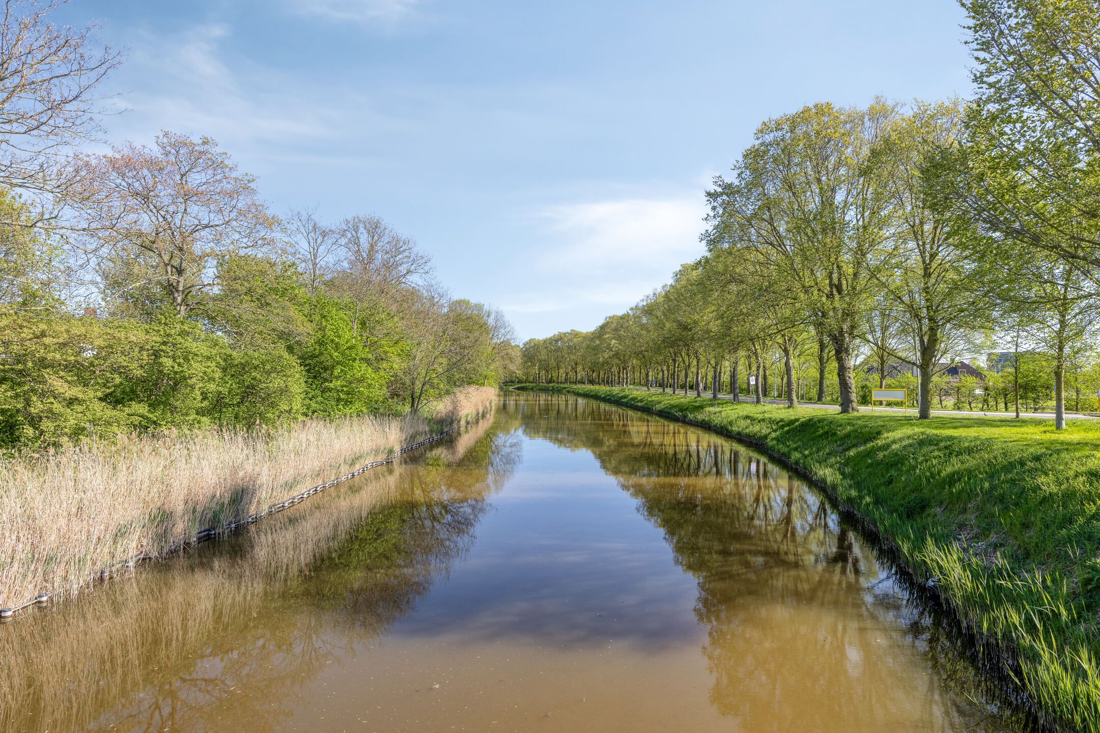 Foto 36 van Weststraat 41