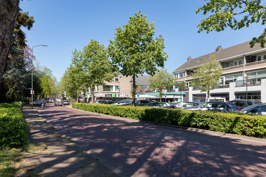 Foto 43 van Terburghtweg 20