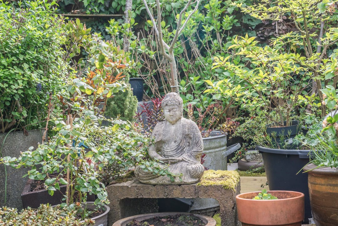 Foto 43 van Watermolen 3