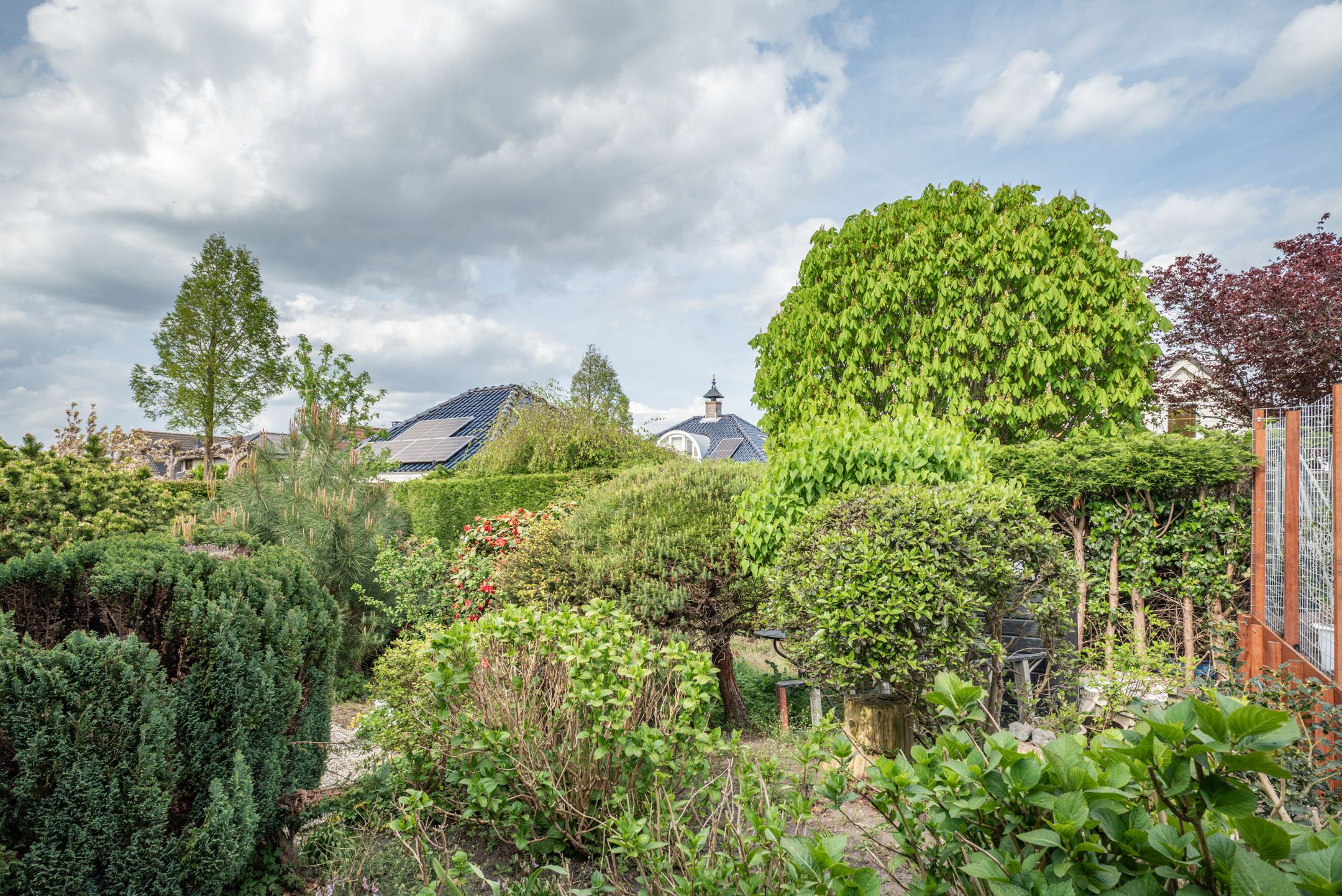 Foto 45 van Watermolen 3