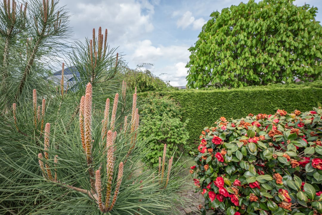 Foto 47 van Watermolen 3