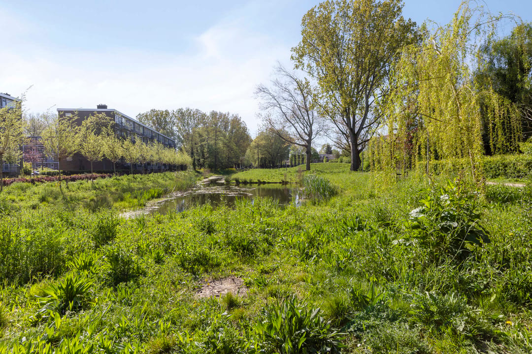 Photo 37 of Vegelinsoord 132