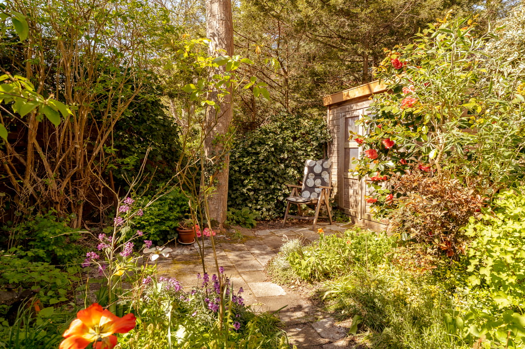 Foto 8 van Frankenstraat 41