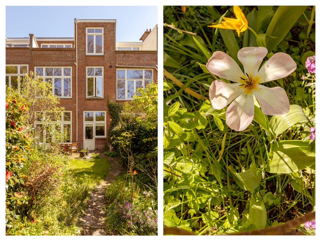 Foto 13 van Frankenstraat 41