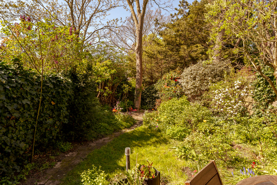 Foto 7 van Frankenstraat 41