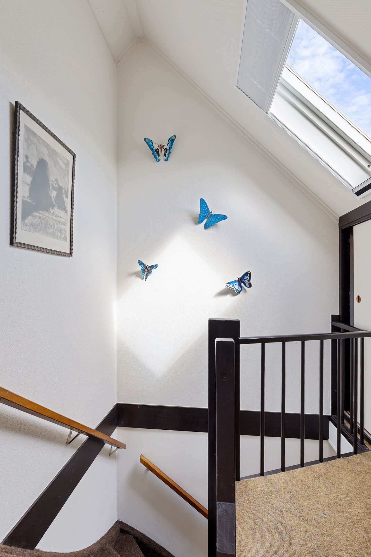 Foto 30 van het Schar 73