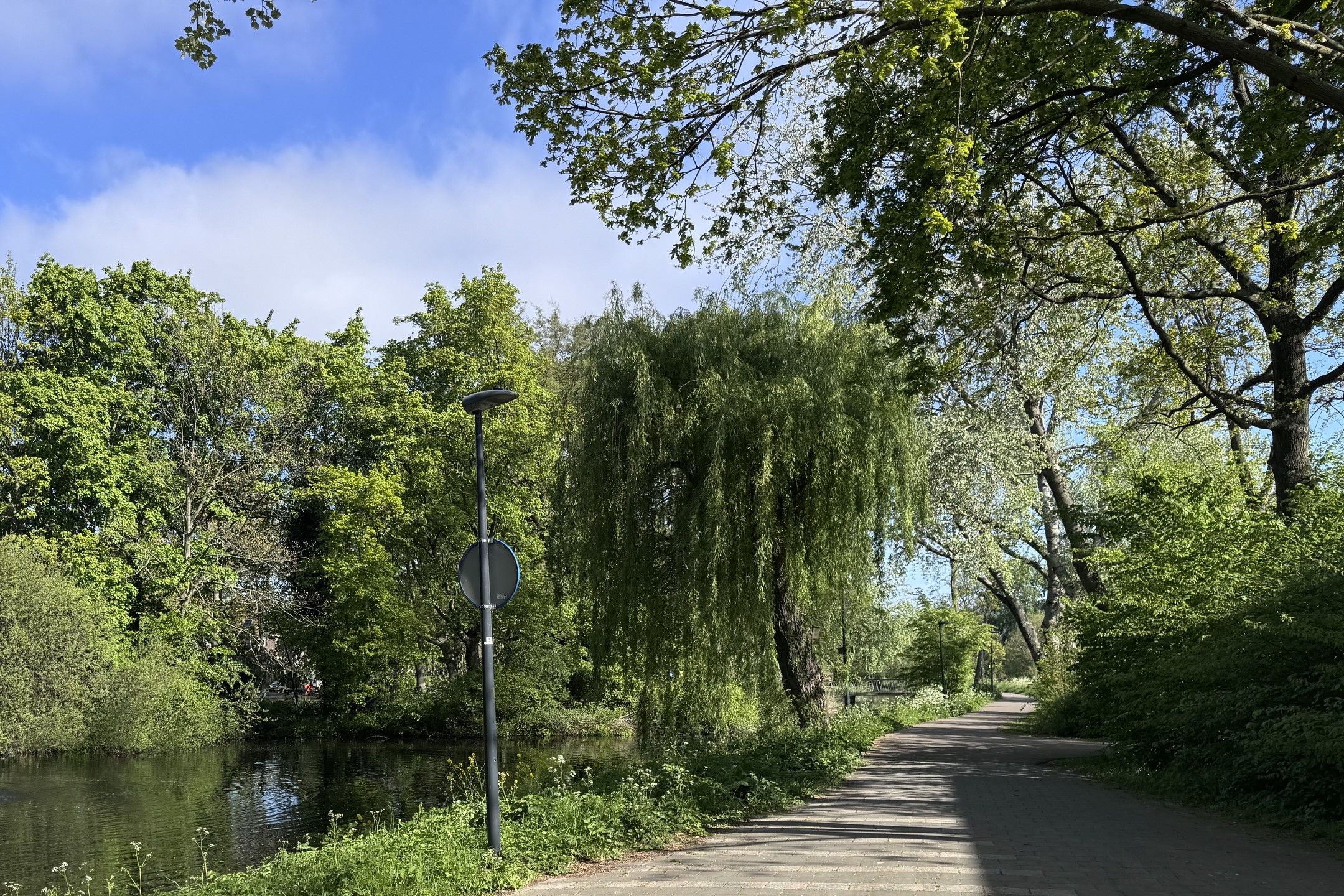 Foto 15 van Berkenlaan 35