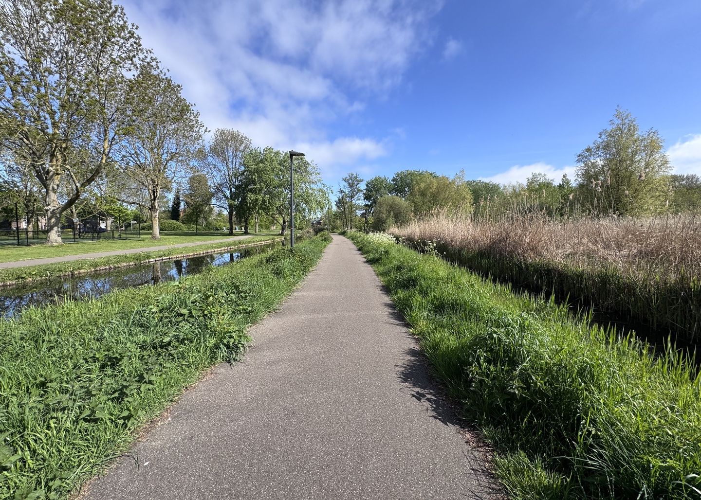 Foto 34 van Berkenlaan 35