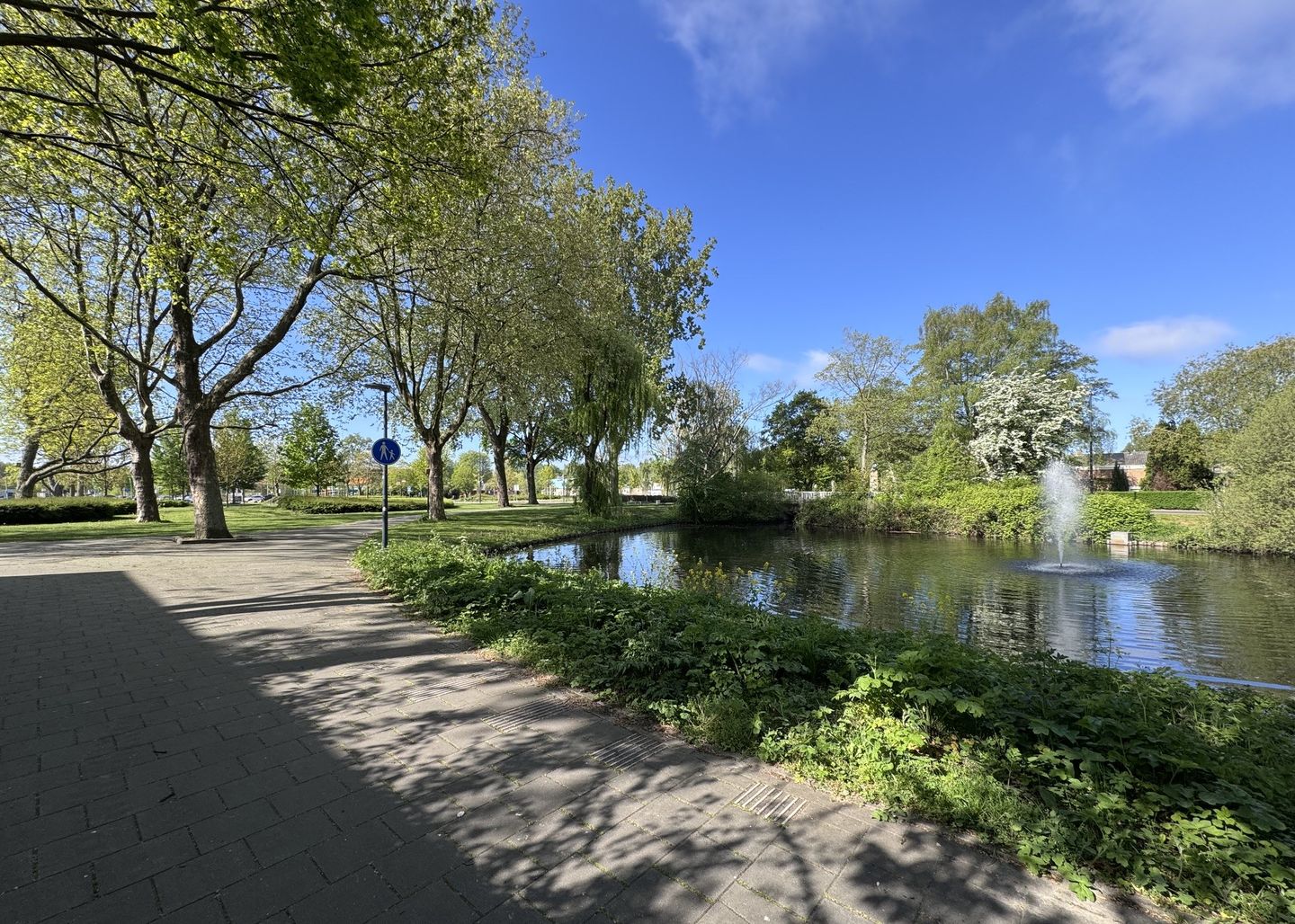 Foto 35 van Berkenlaan 35