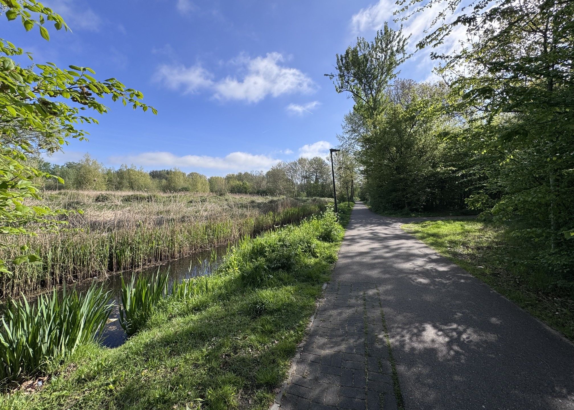 Foto 36 van Berkenlaan 35