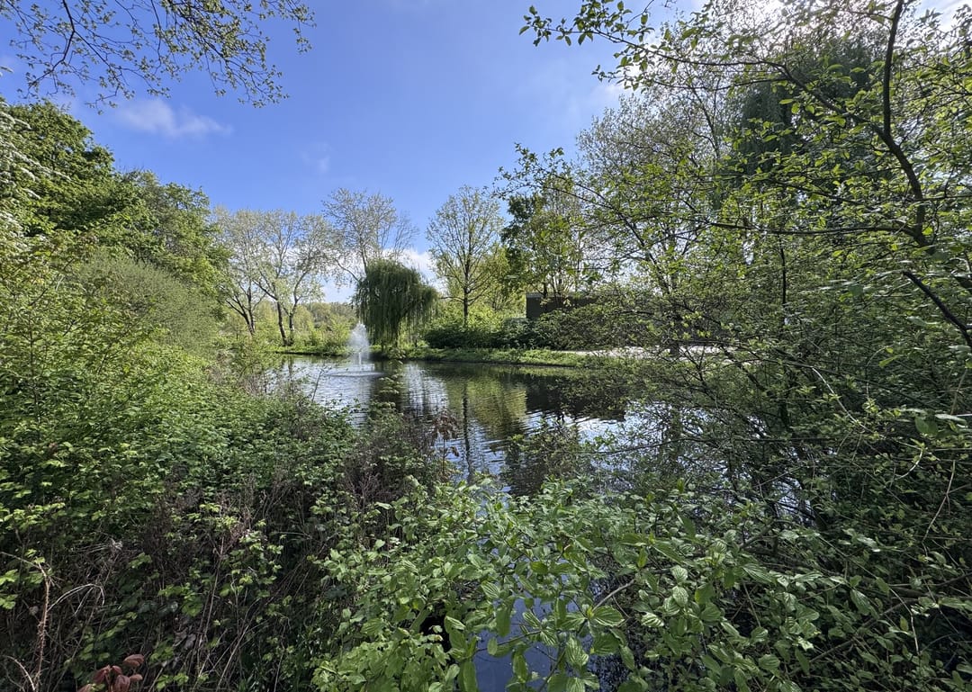 Foto 37 van Berkenlaan 35