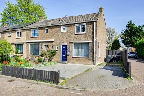 Berkenlaan thumbnail