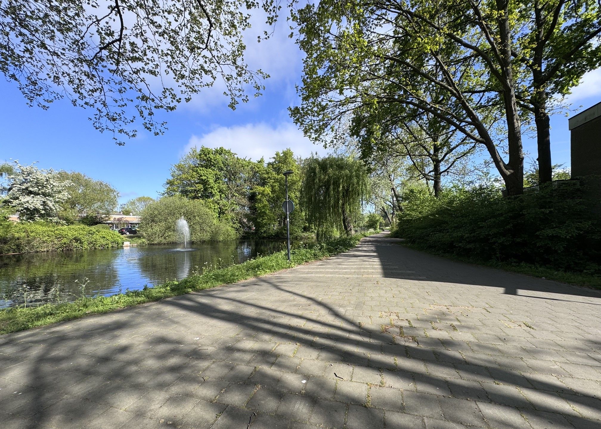 Foto 39 van Berkenlaan 35