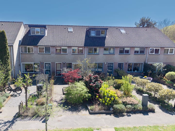 Foto 5 van Boerhoorn 17