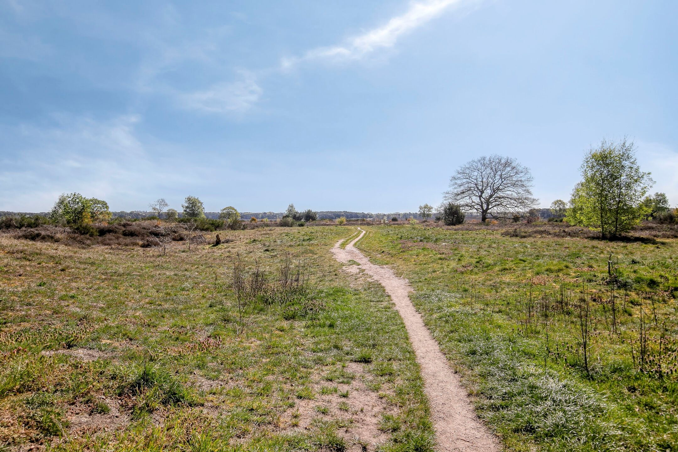 Foto 3 van Lange Heul 219