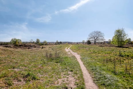 Lange Heul 219 tertiary image