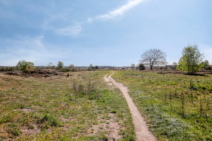 Photo 3 of Lange Heul 219