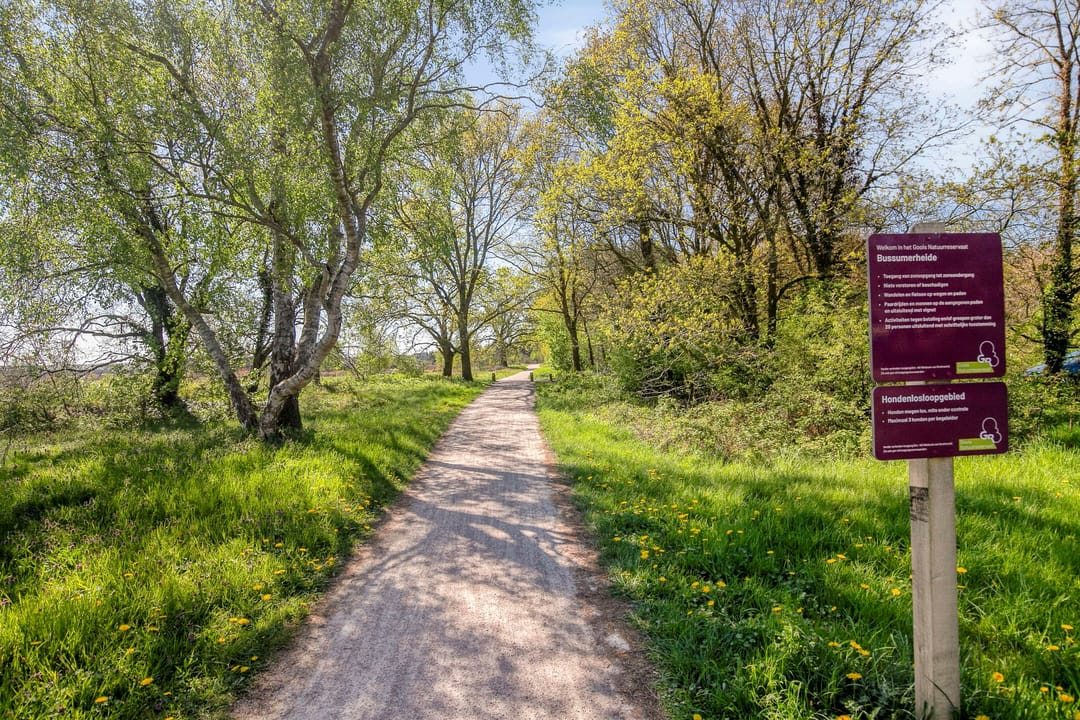 Foto 13 van Lange Heul 219