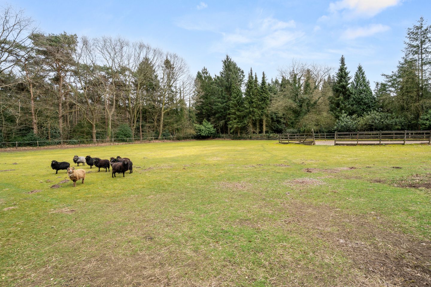 Foto 59 van Goorsteeg 108