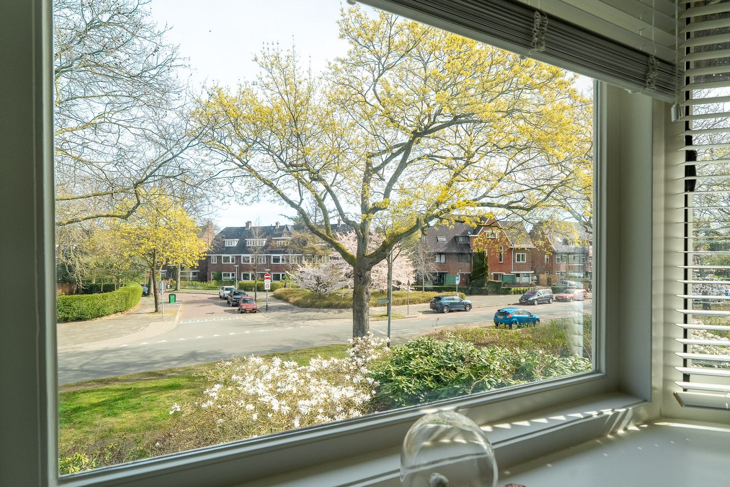 Foto 49 van Goeman Borgesiuslaan 17