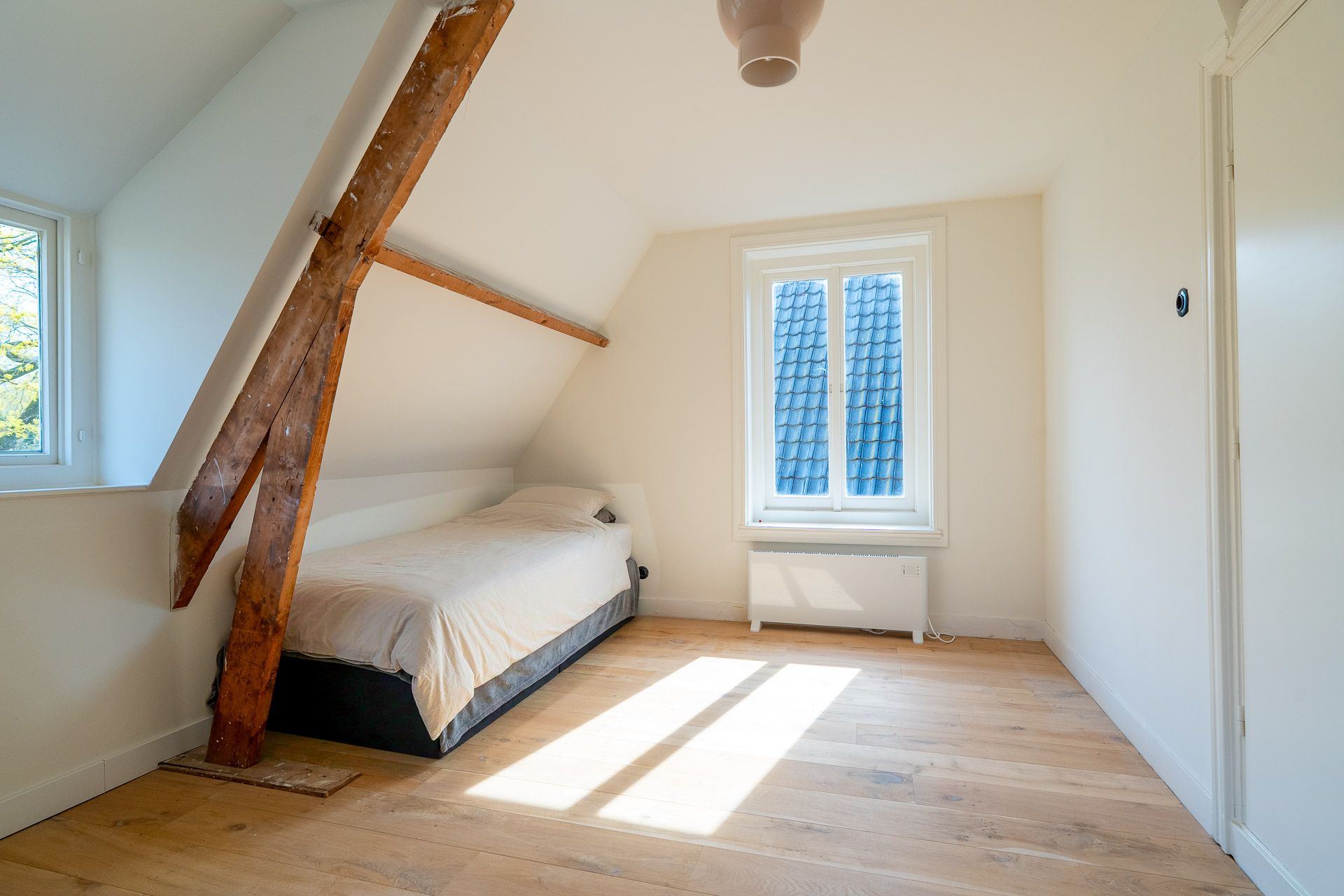 Foto 72 van Goeman Borgesiuslaan 17