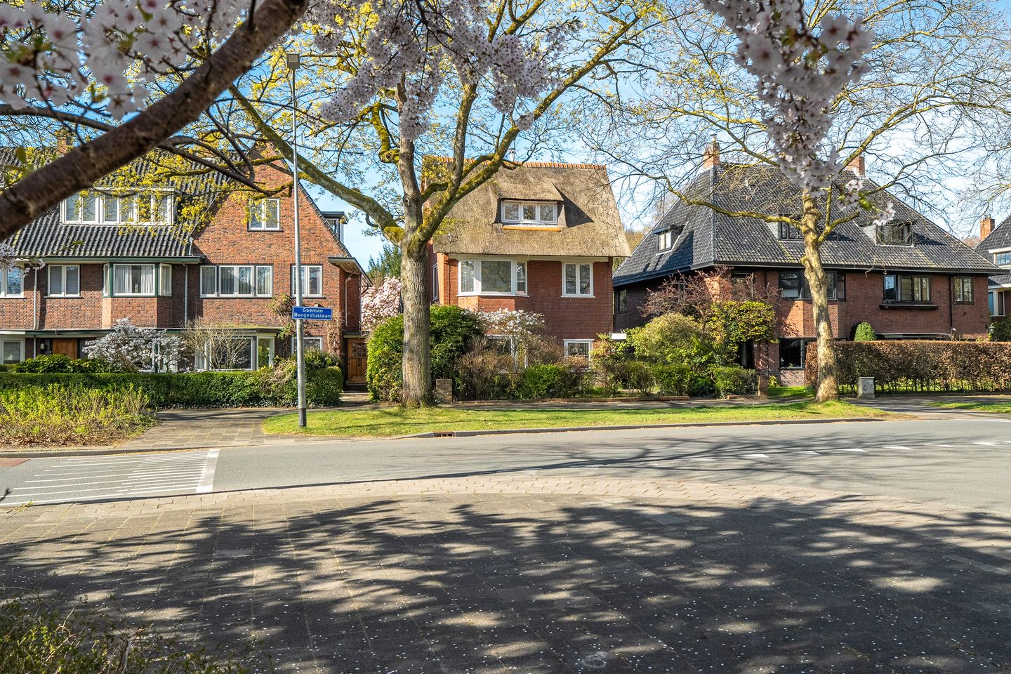 Foto 10 van Goeman Borgesiuslaan 17