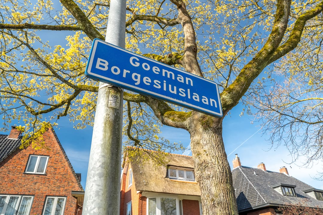 Foto 11 van Goeman Borgesiuslaan 17