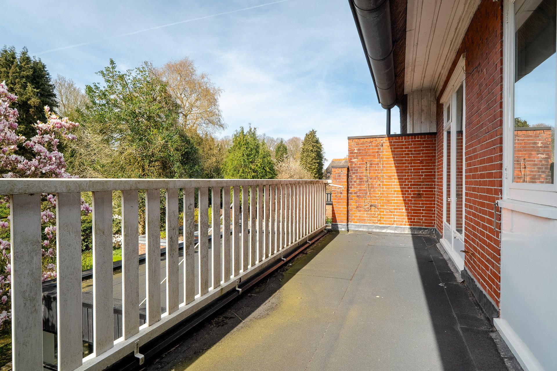 Foto 54 van Goeman Borgesiuslaan 17