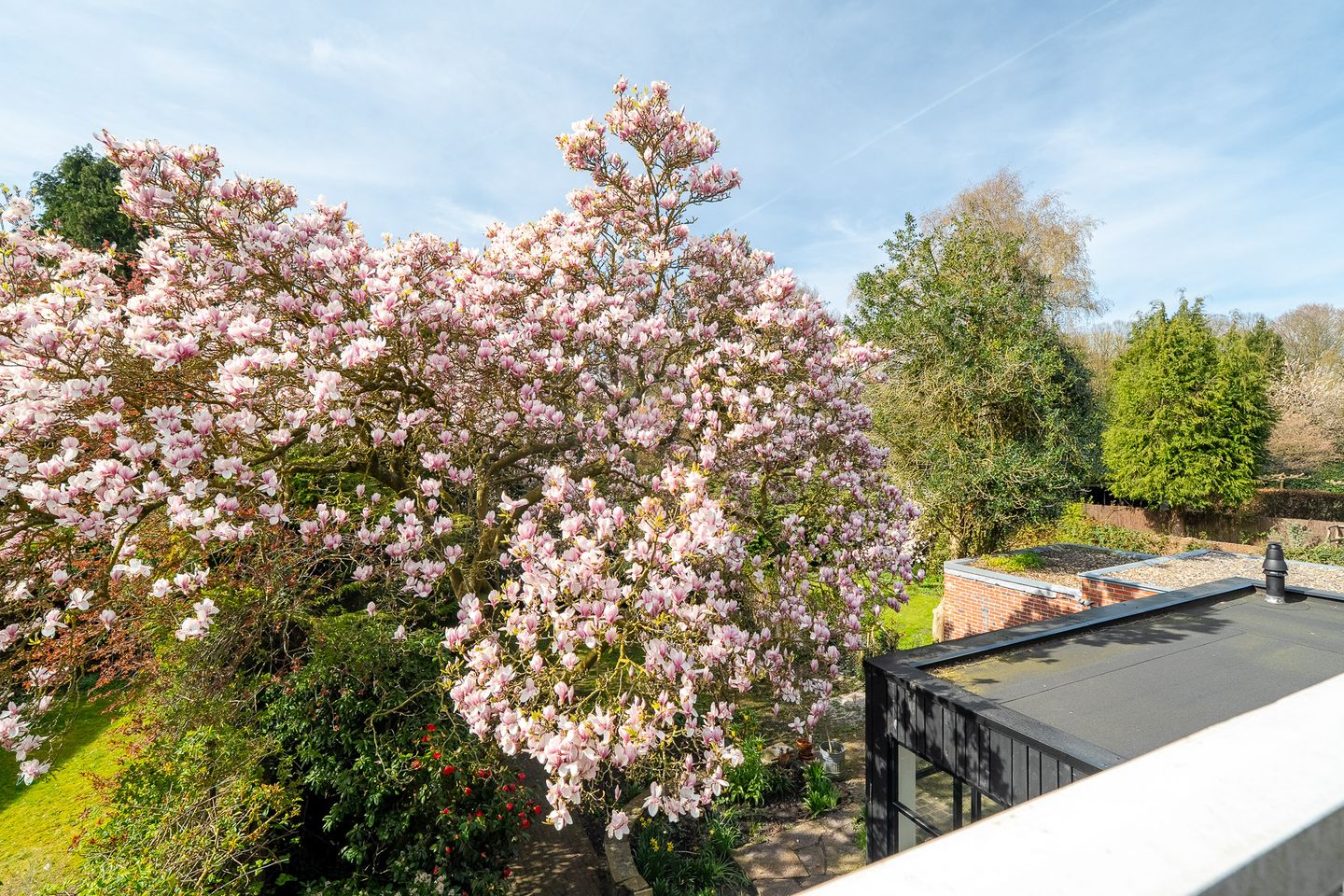 Foto 55 van Goeman Borgesiuslaan 17