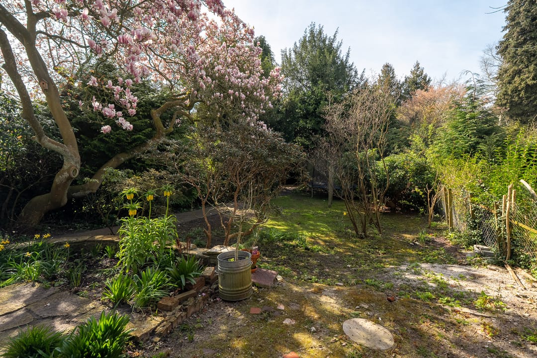 Foto 82 van Goeman Borgesiuslaan 17