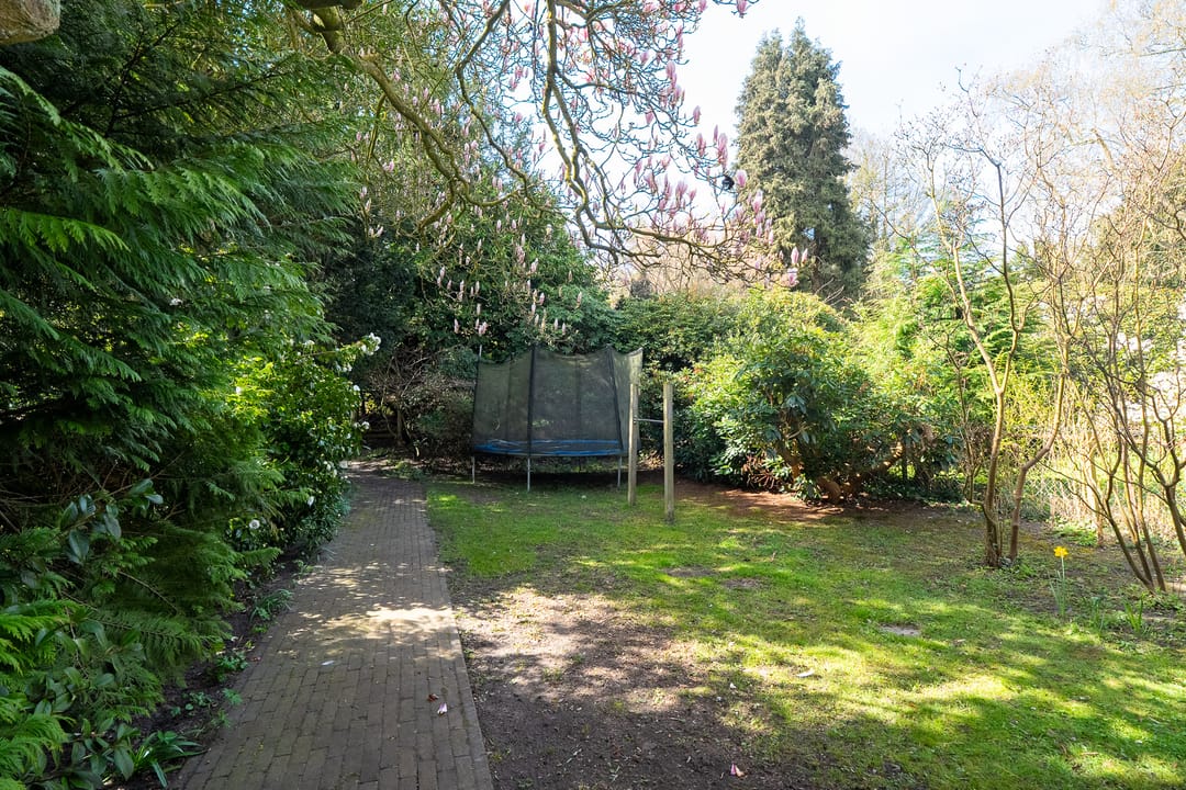 Foto 83 van Goeman Borgesiuslaan 17