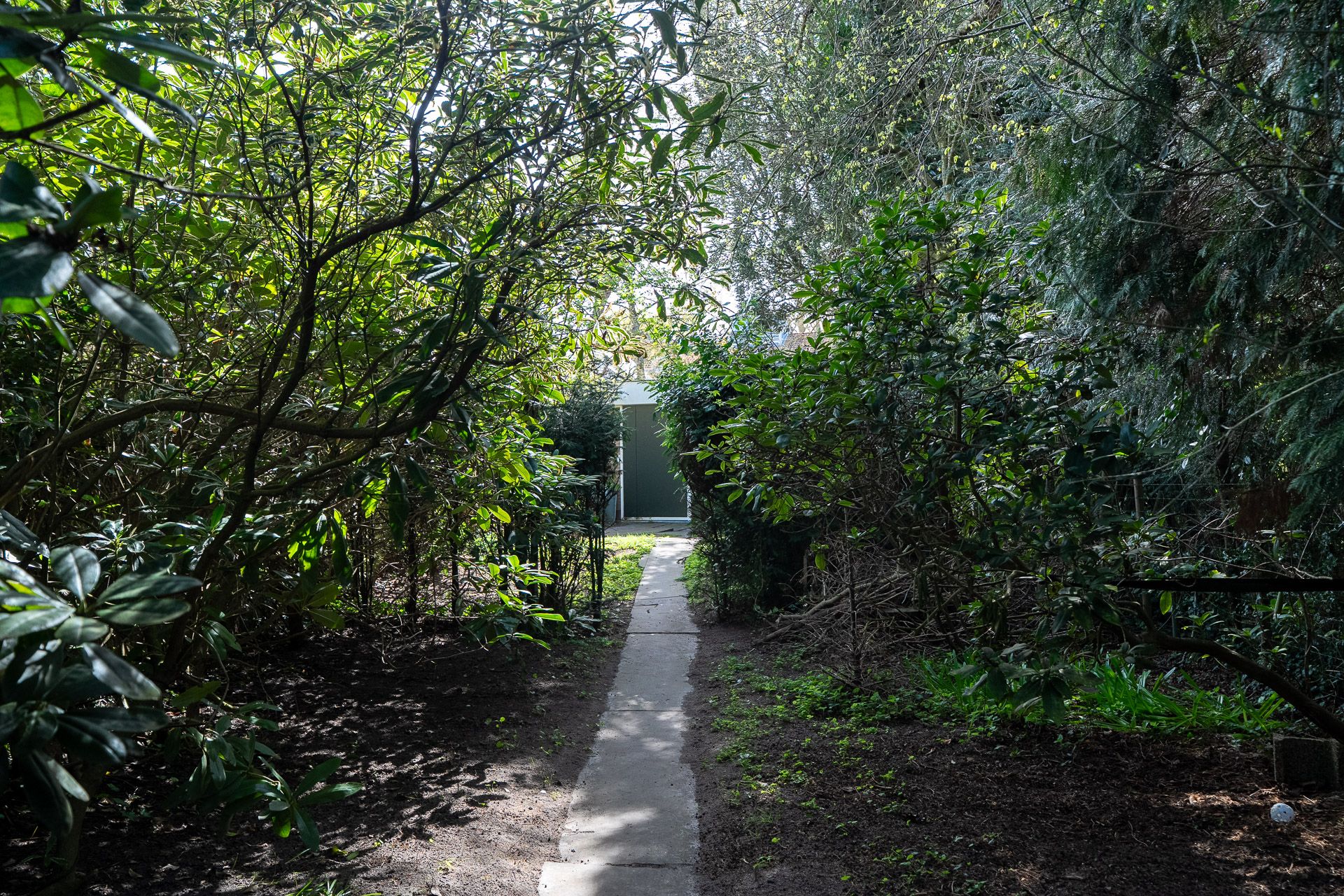 Foto 84 van Goeman Borgesiuslaan 17