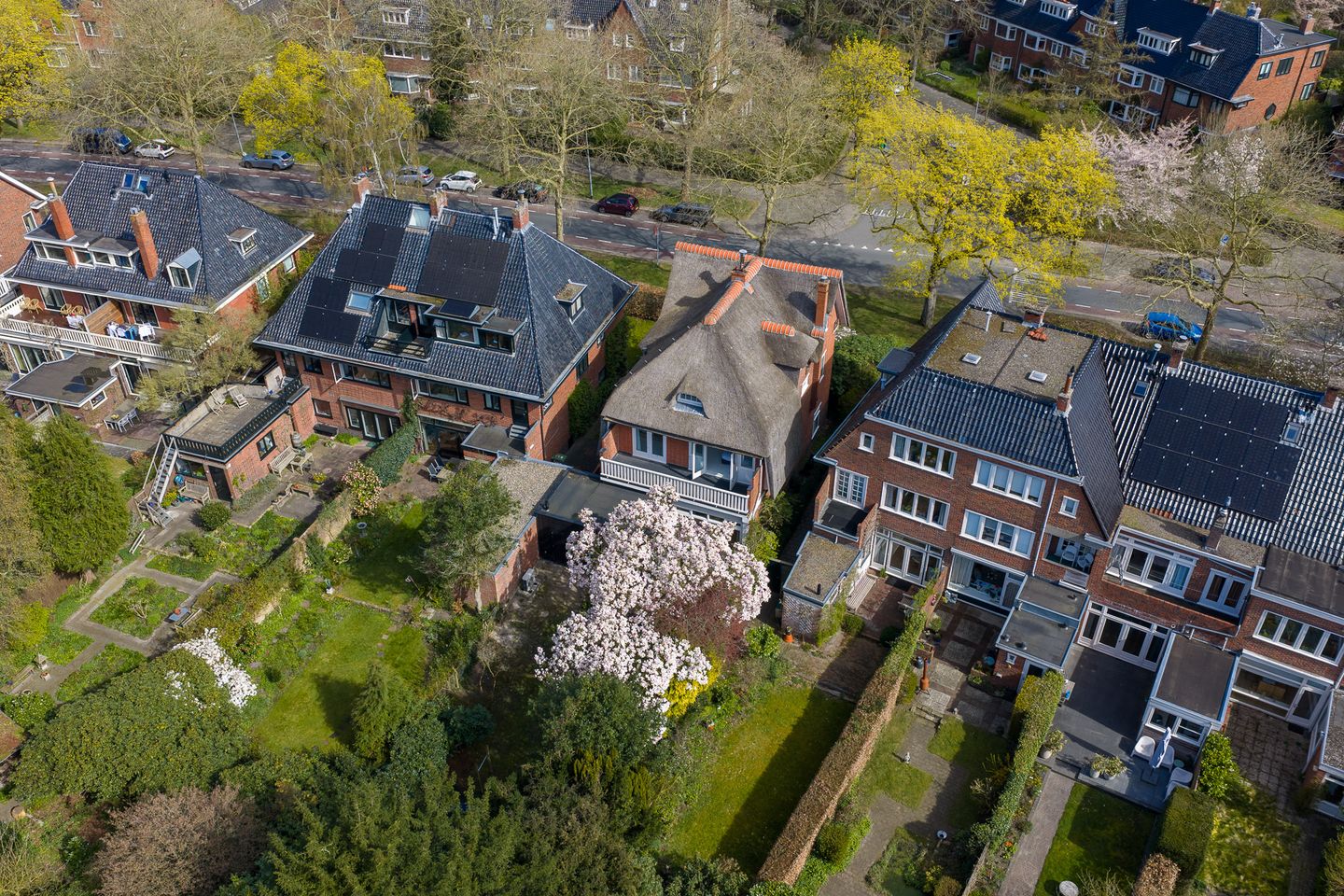 Foto 89 van Goeman Borgesiuslaan 17