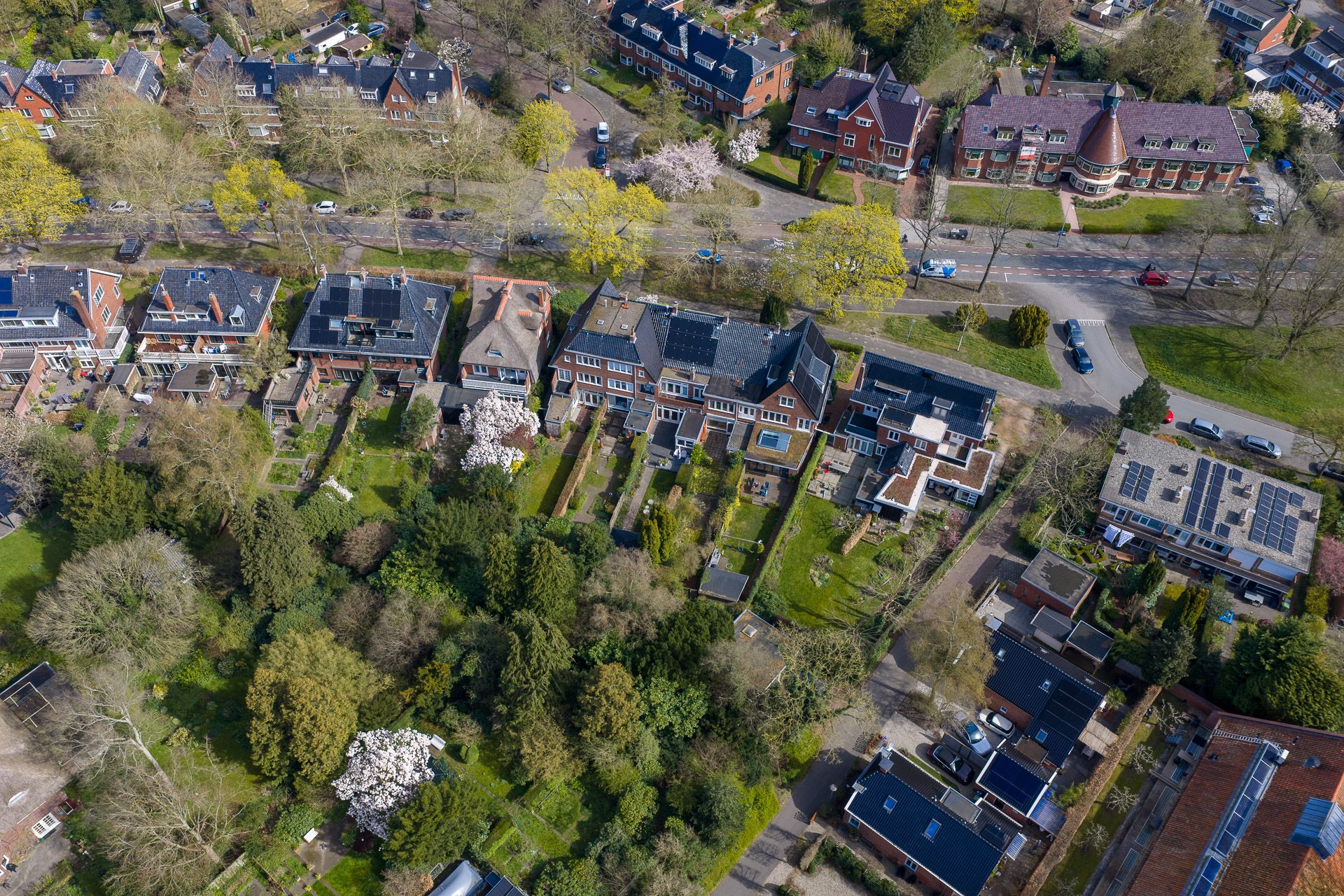 Foto 90 van Goeman Borgesiuslaan 17