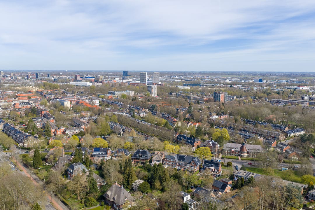 Foto 92 van Goeman Borgesiuslaan 17