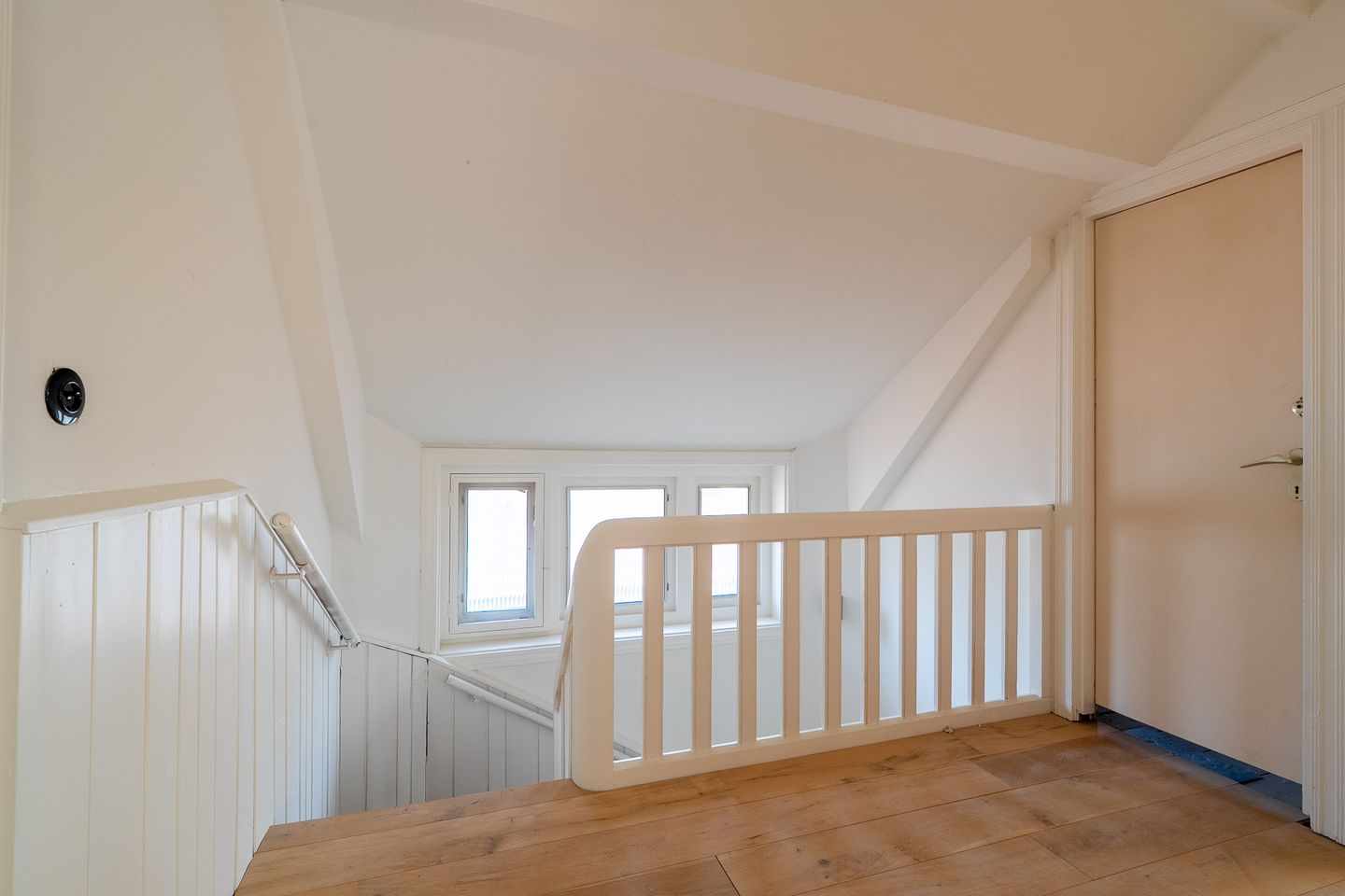 Foto 70 van Goeman Borgesiuslaan 17