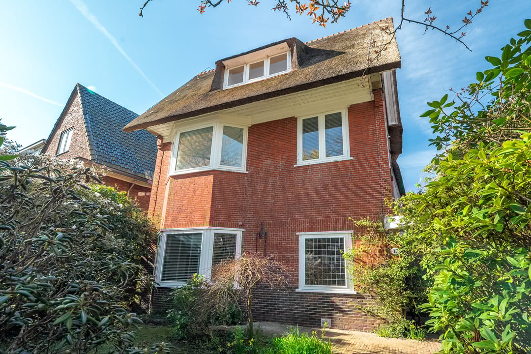 Foto 13 van Goeman Borgesiuslaan 17