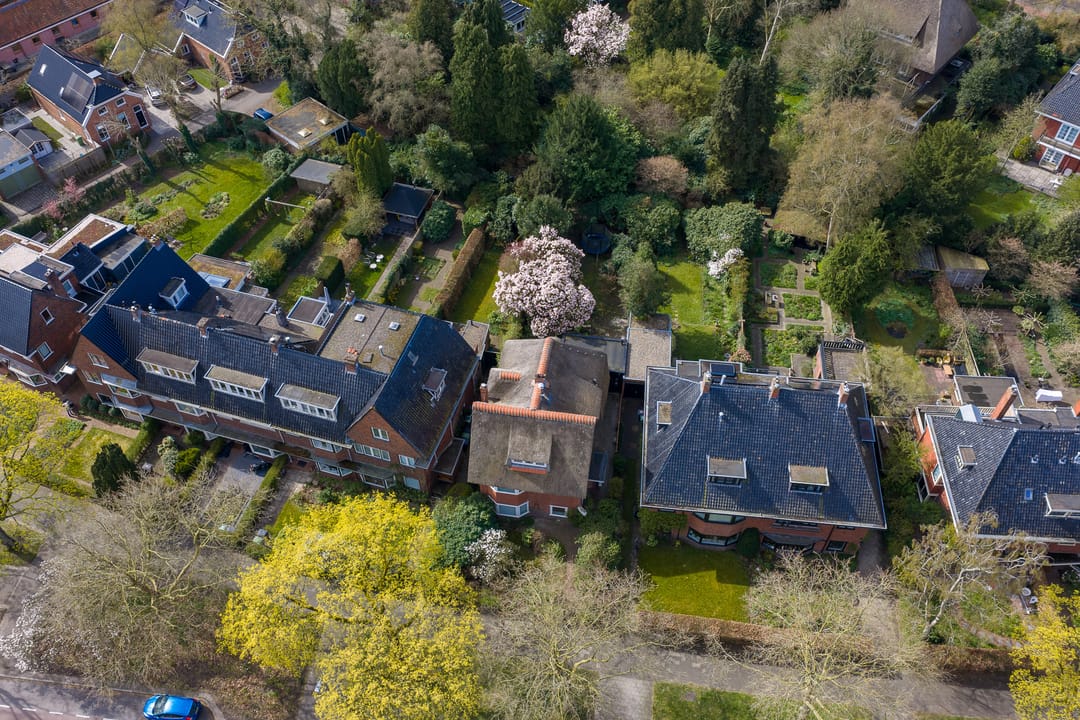 Foto 88 van Goeman Borgesiuslaan 17