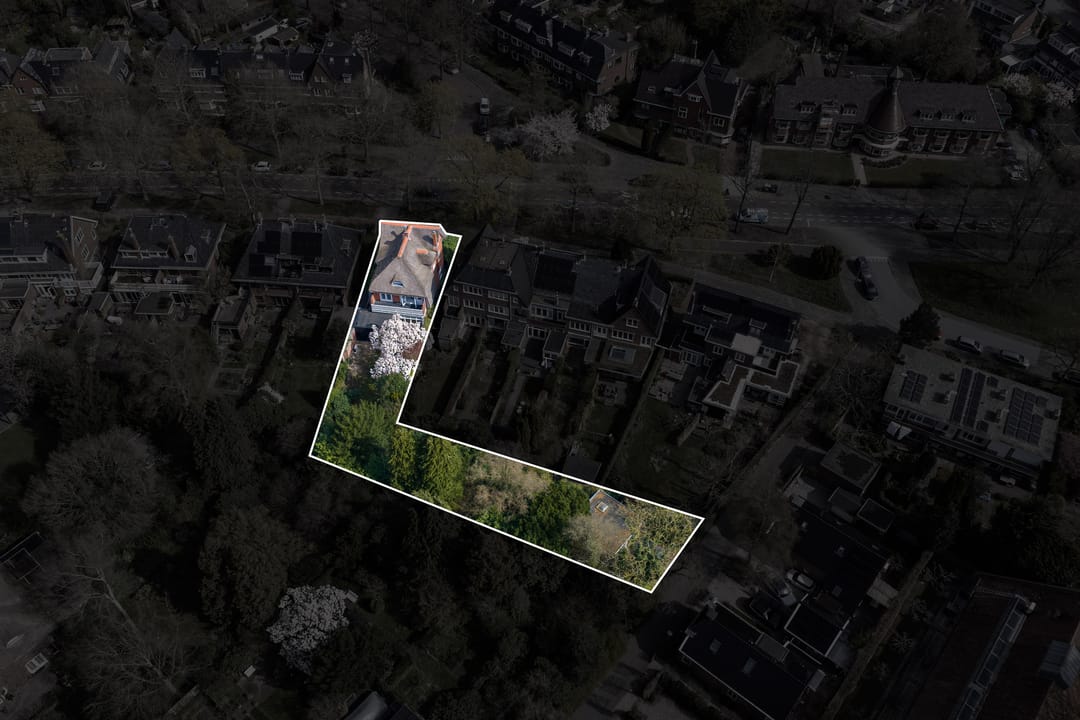 Foto 91 van Goeman Borgesiuslaan 17