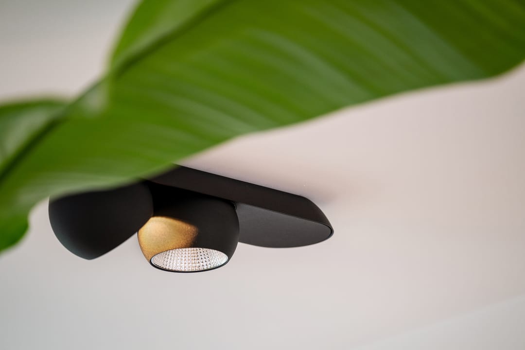 Foto 16 van Hendrikseiland 35