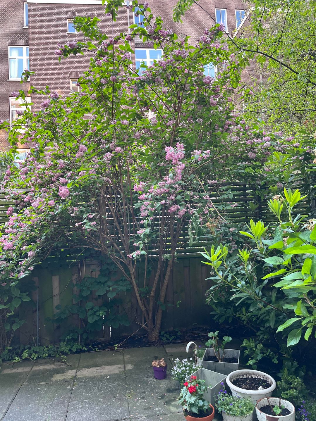 Foto 26 van Van Houweningenstraat 80-H