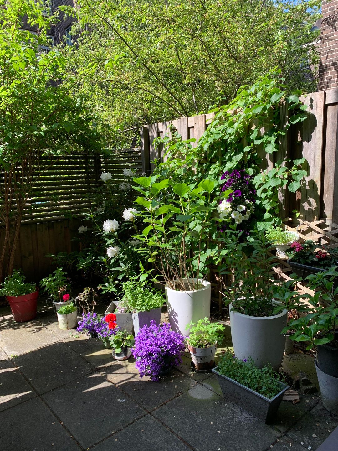 Foto 28 van Van Houweningenstraat 80-H