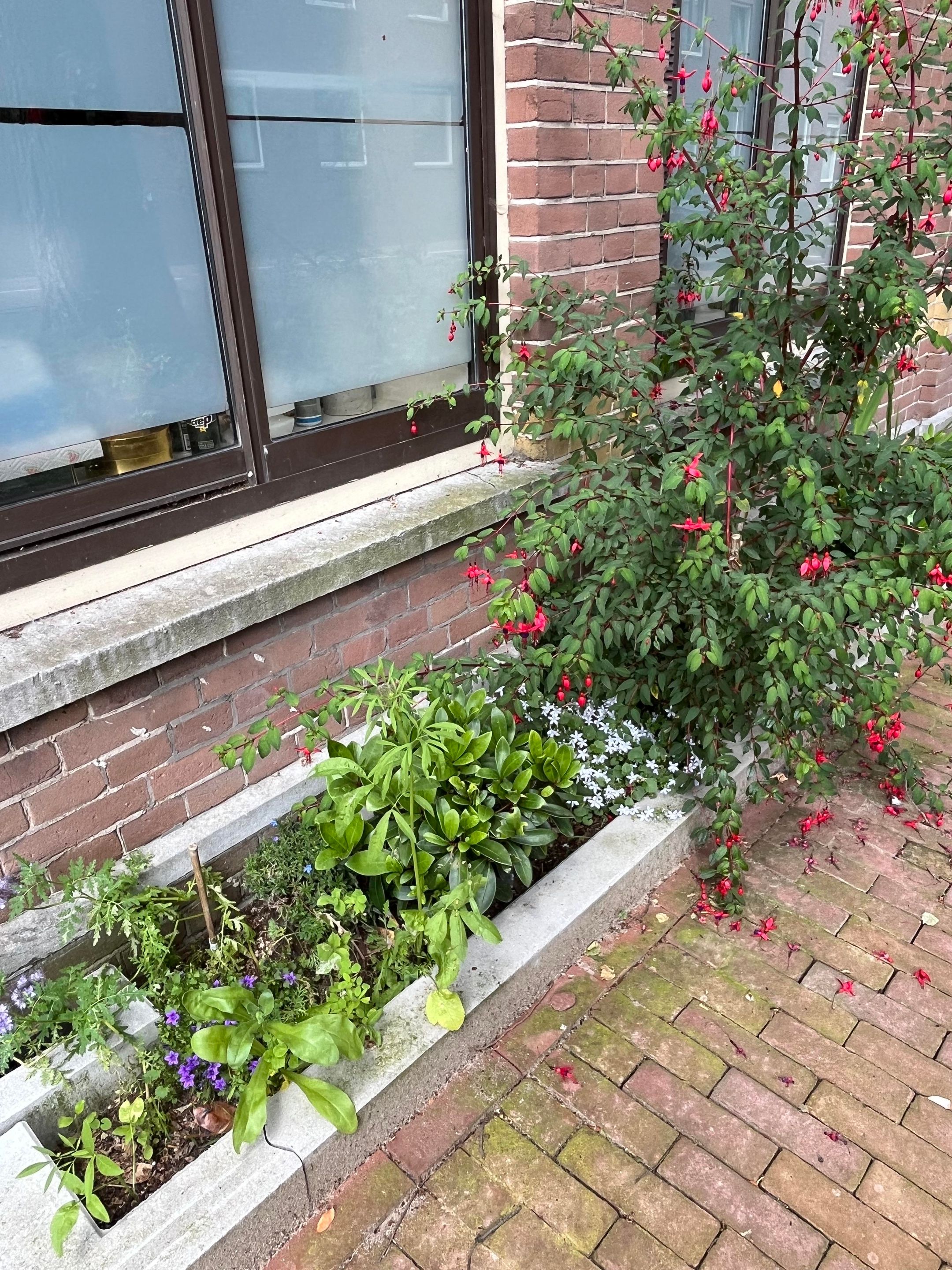 Foto 27 van Van Houweningenstraat 80-H