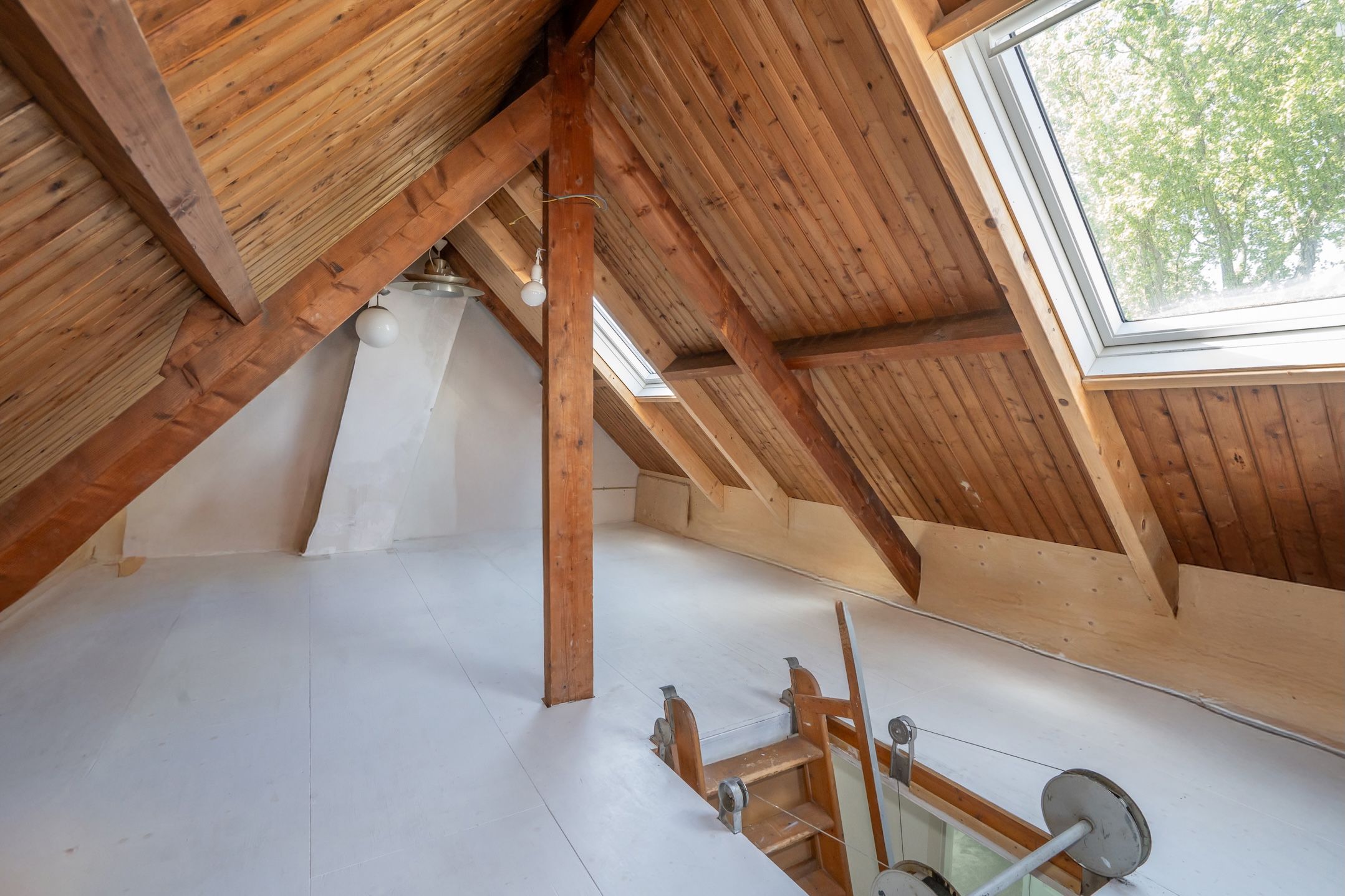 Photo 54 of Prins Bernhardlaan 2