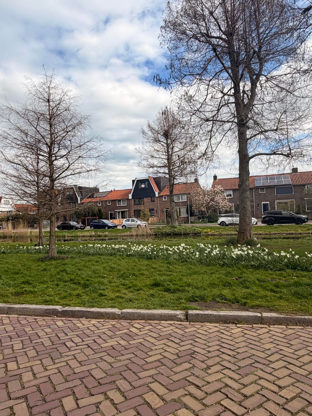 Foto 11 van Ooievaarslaan 5