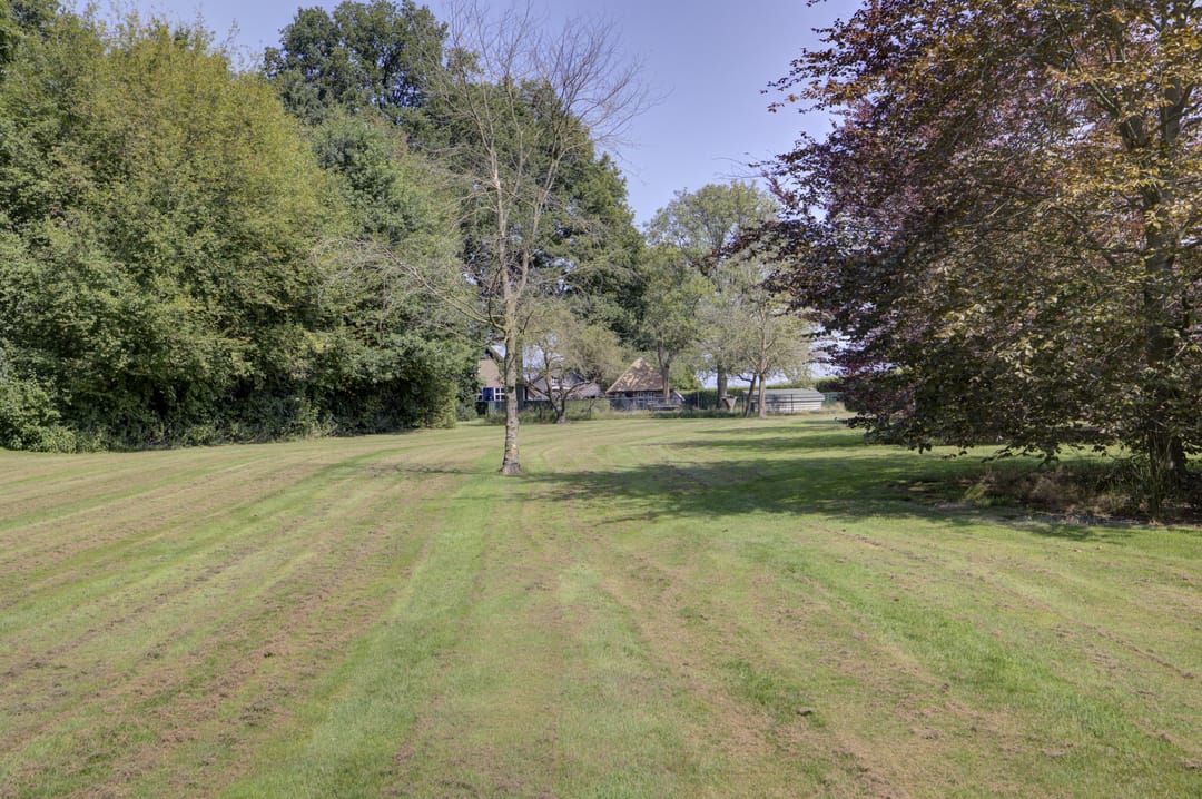 Foto 62 van Middendorp 24