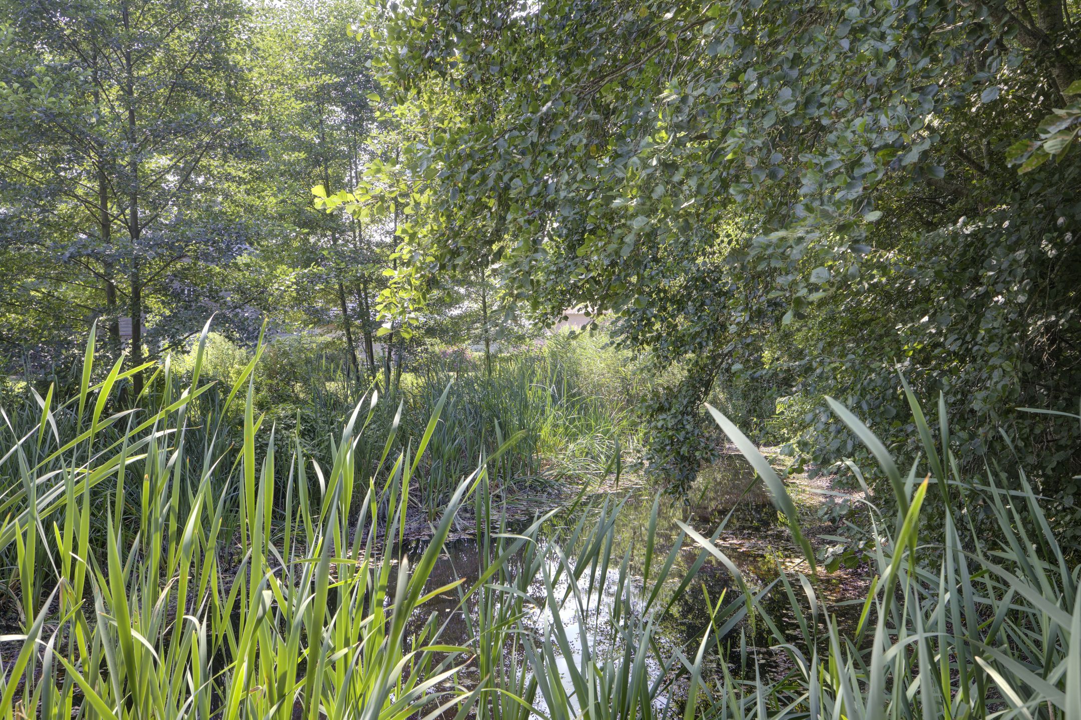 Foto 63 van Middendorp 24